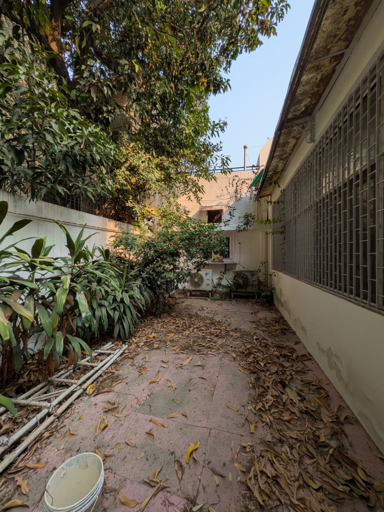 3BHK Builder Floor Available for RENT at Gulmohar park - 1736